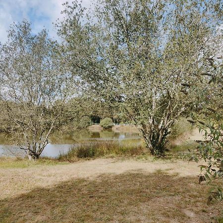 La Boissiere-de-Montaigu Bungalow Cosy Equipe מראה חיצוני תמונה