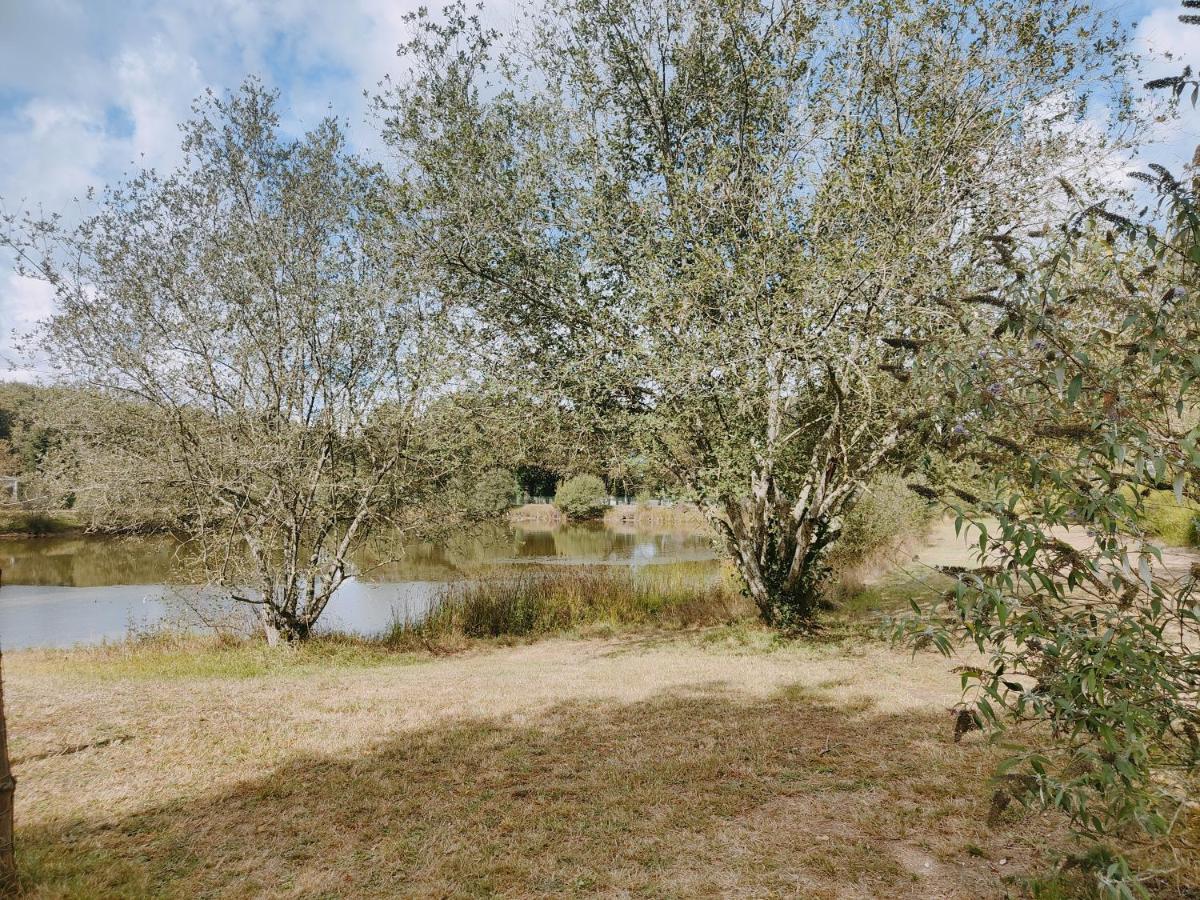 La Boissiere-de-Montaigu Bungalow Cosy Equipe מראה חיצוני תמונה