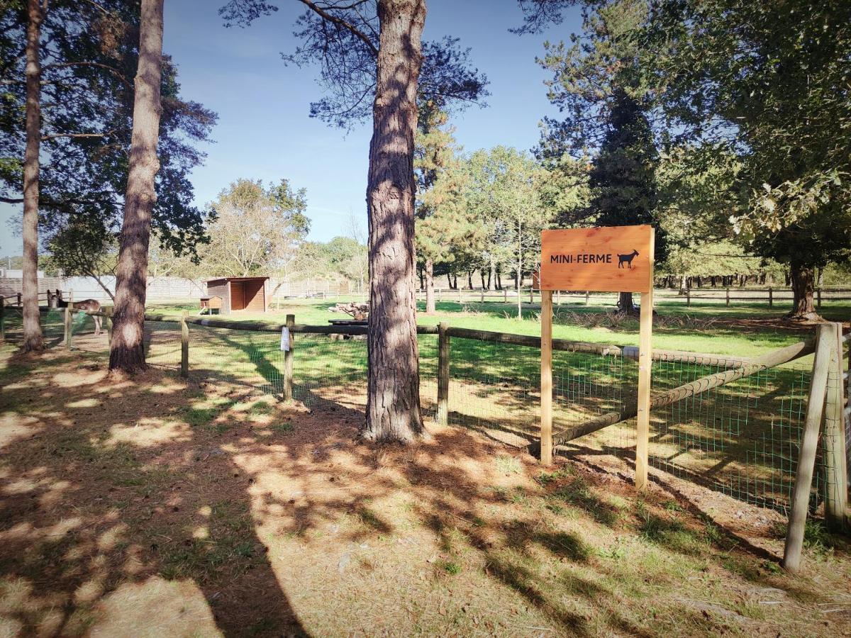 La Boissiere-de-Montaigu Bungalow Cosy Equipe מראה חיצוני תמונה